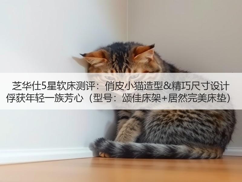 芝华仕5星软床测评：俏皮小猫造型&精巧尺