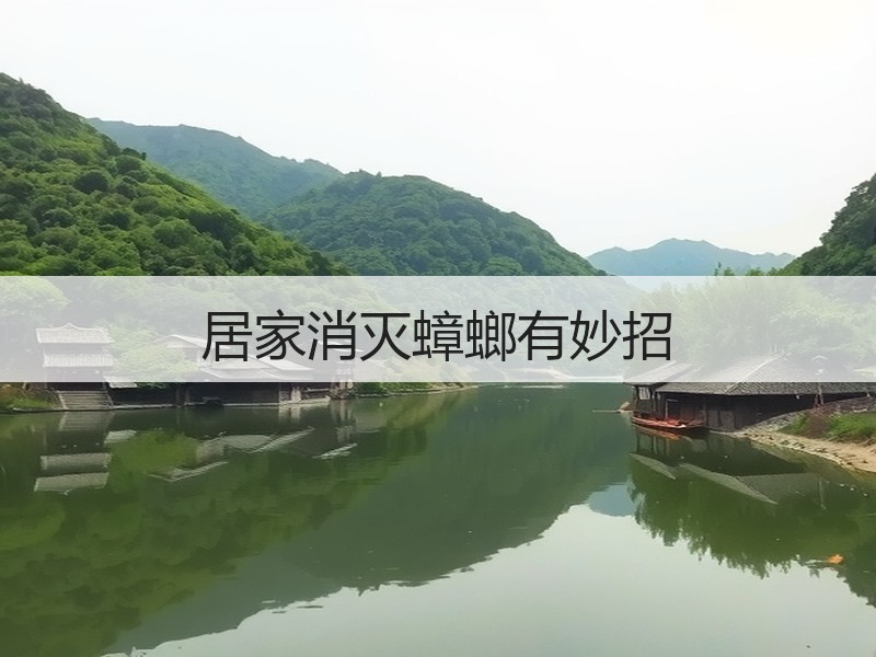 居家消灭蟑螂有妙招