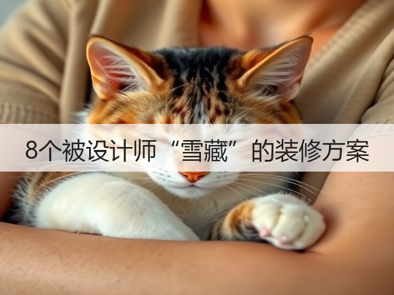 8个被设计师“雪藏”的装修方案