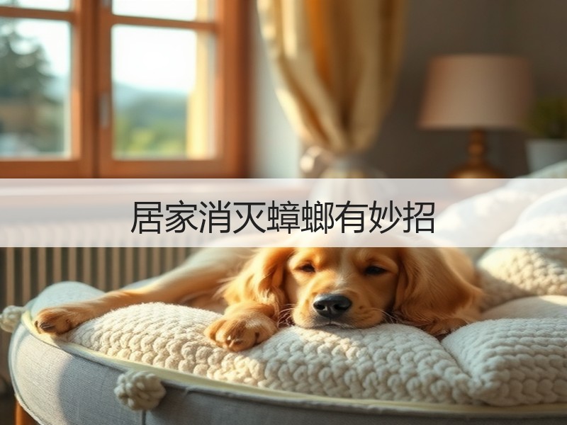 居家消灭蟑螂有妙招