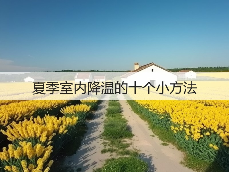 夏季室内降温的十个小方法