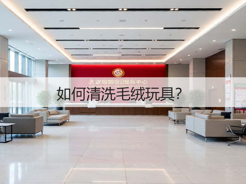 如何清洗毛绒玩具？