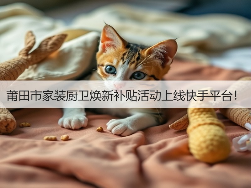 莆田市家装厨卫焕新补贴活动上线快手平台！