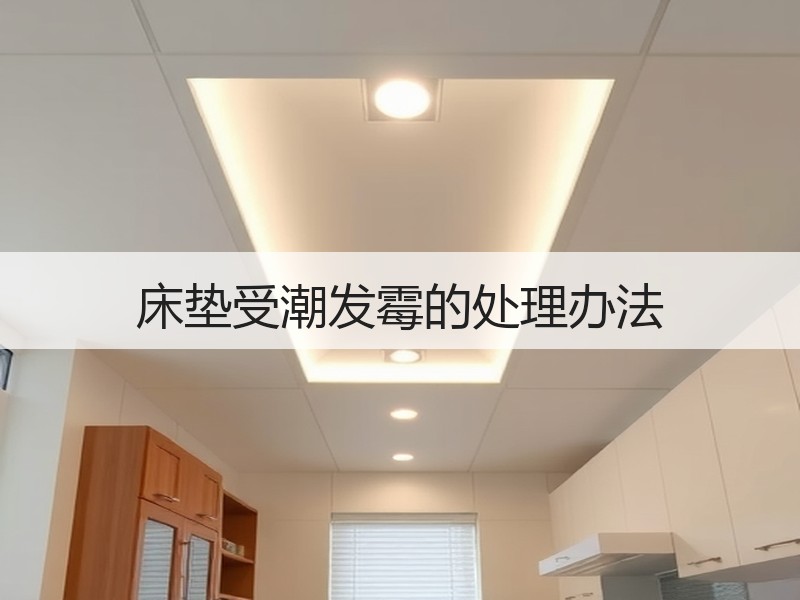 床垫受潮发霉的处理办法