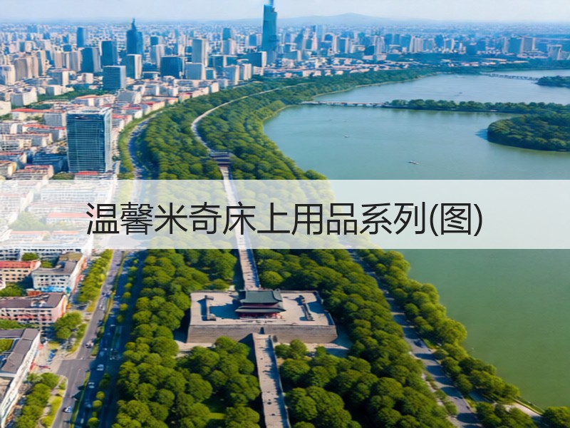 温馨米奇床上用品系列(图)