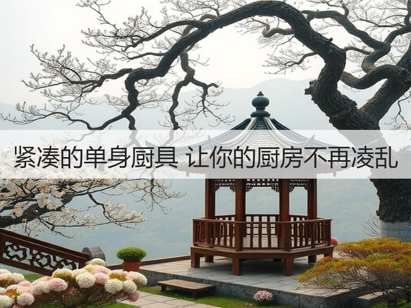紧凑的单身厨具 让你的厨房不再凌乱
