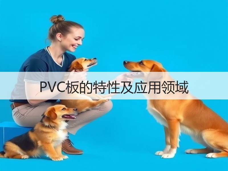 PVC板的特性及应用领域
