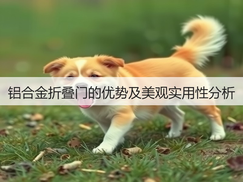 铝合金折叠门的优势及美观实用性分析