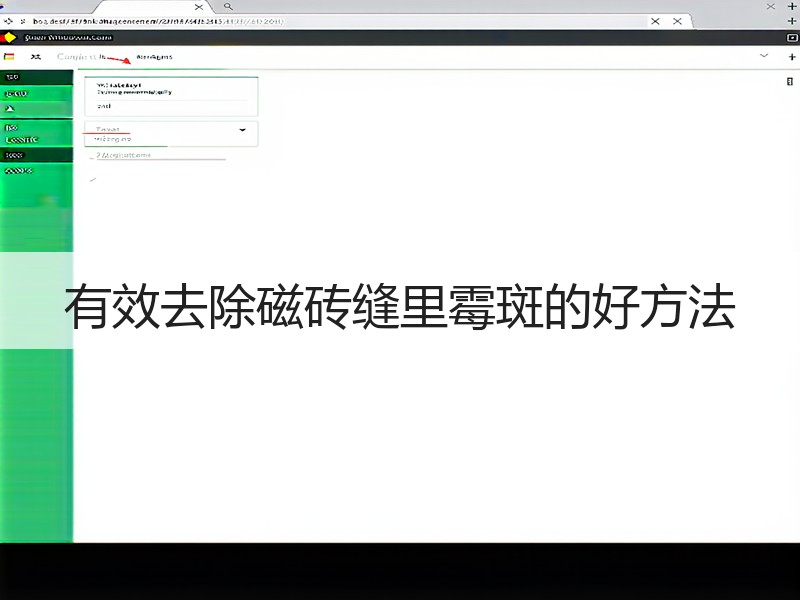 有效去除磁砖缝里霉斑的好方法