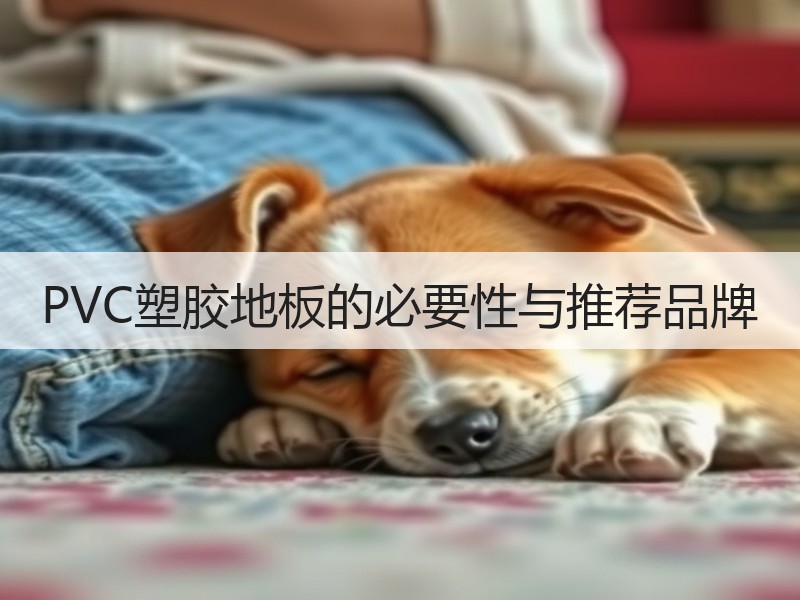 PVC塑胶地板的必要性与推荐品牌