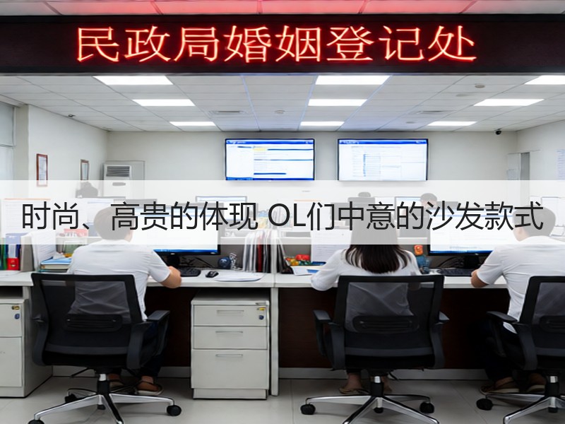 时尚、高贵的体现 OL们中意的沙发款式