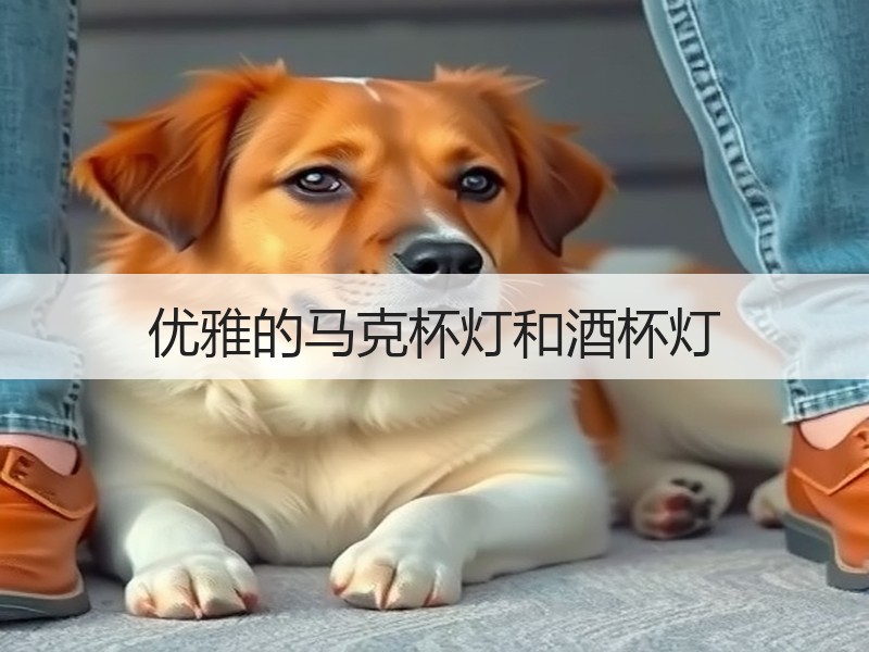 优雅的马克杯灯和酒杯灯