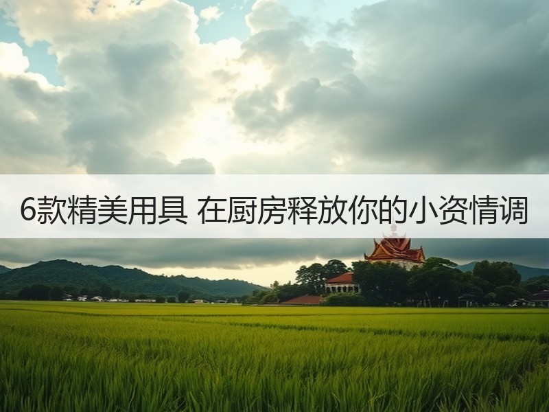 6款精美用具 在厨房释放你的小资情调