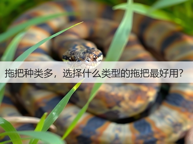 拖把种类多，选择什么类型的拖把最好用？