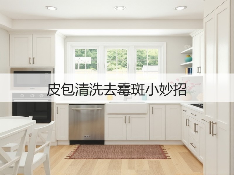 皮包清洗去霉斑小妙招