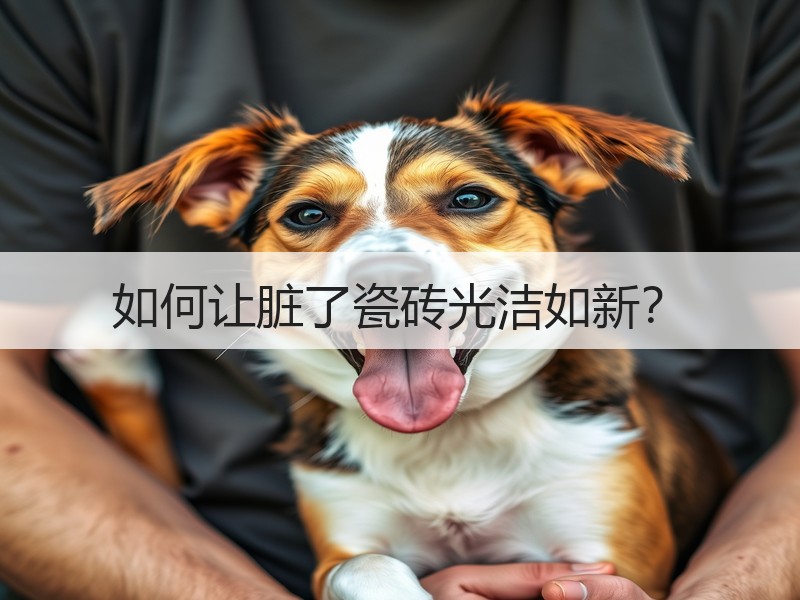 如何让脏了瓷砖光洁如新？