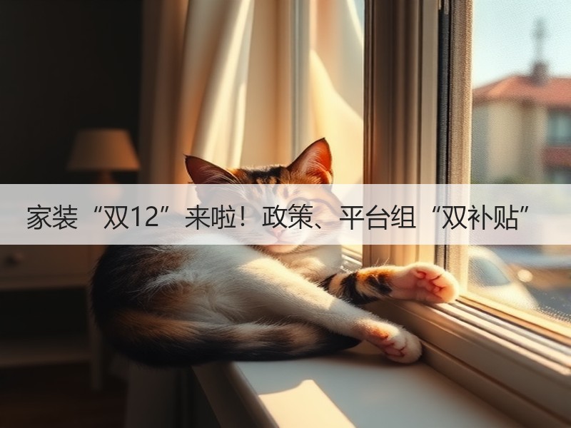 家装“双12”来啦！政策、平台组“双补贴